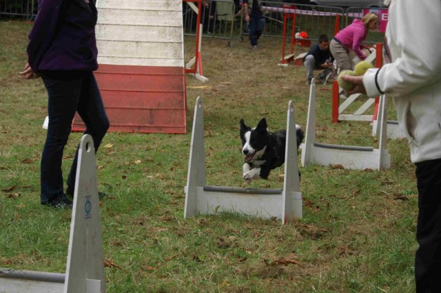 foire-haricots 2011-09-17et18